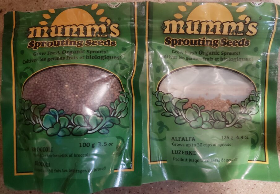 Mumm's sprouting seeds