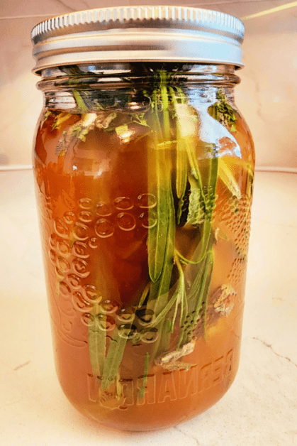 hair infusion recipe